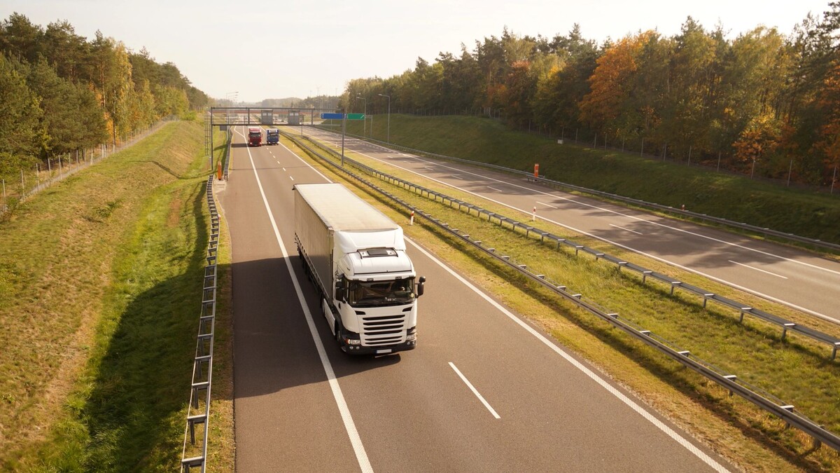    Фото: vladdon/Shutterstock/Fotodom