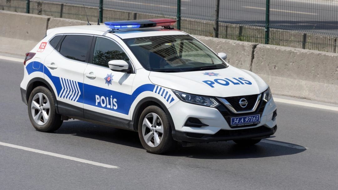    Фото: gd_project/Shutterstock/Fotodom