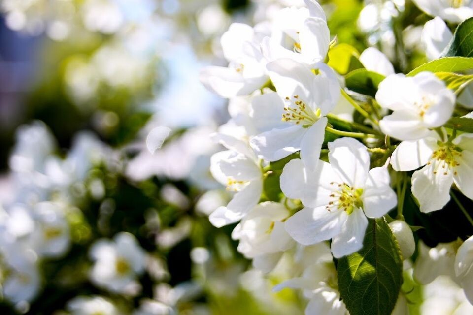    Погода. Май. Весна. Источник: Виталий Барабаш