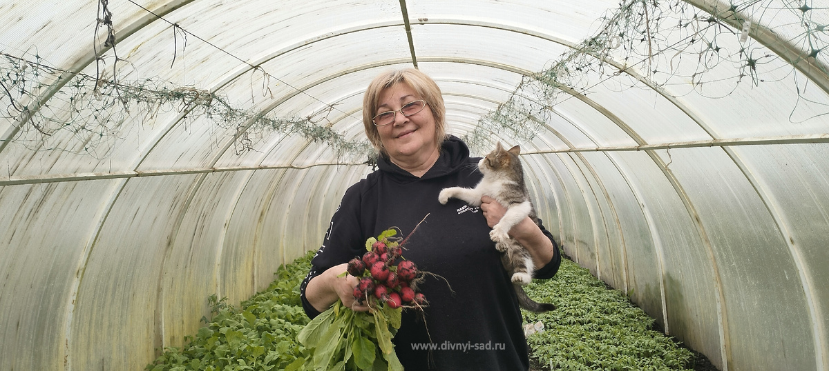 Я в теплице