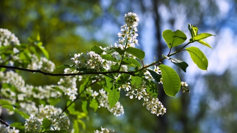 Фото: @bearfotos / freepik.com