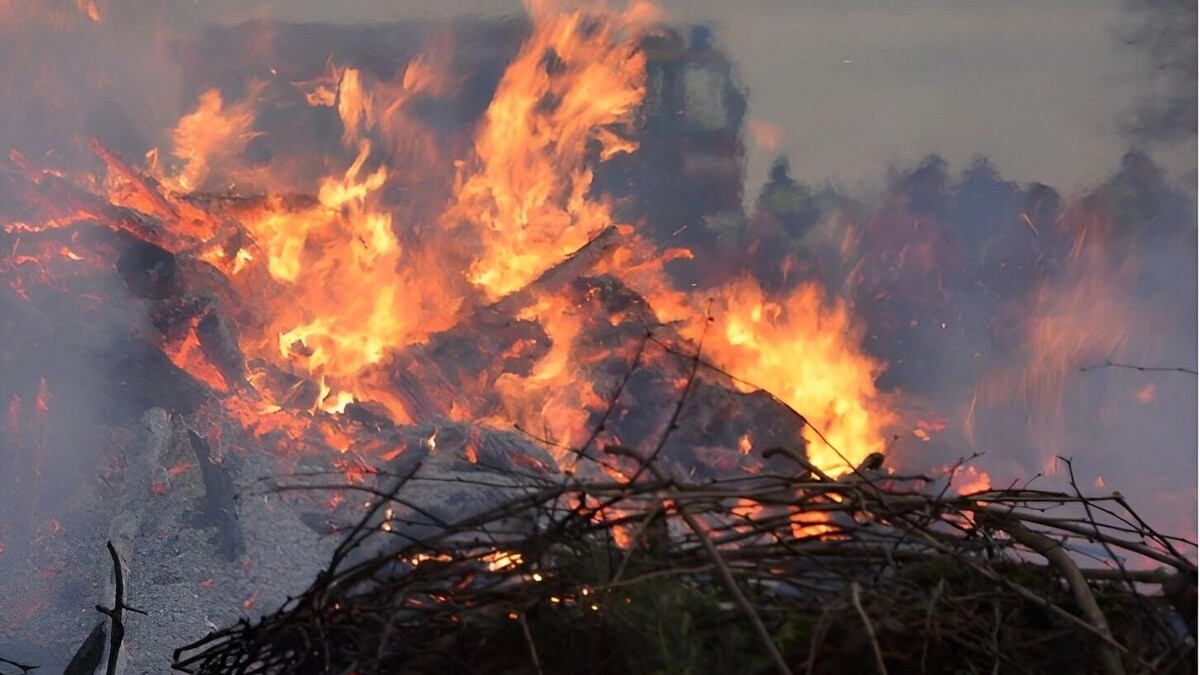     Источник: freepik.com