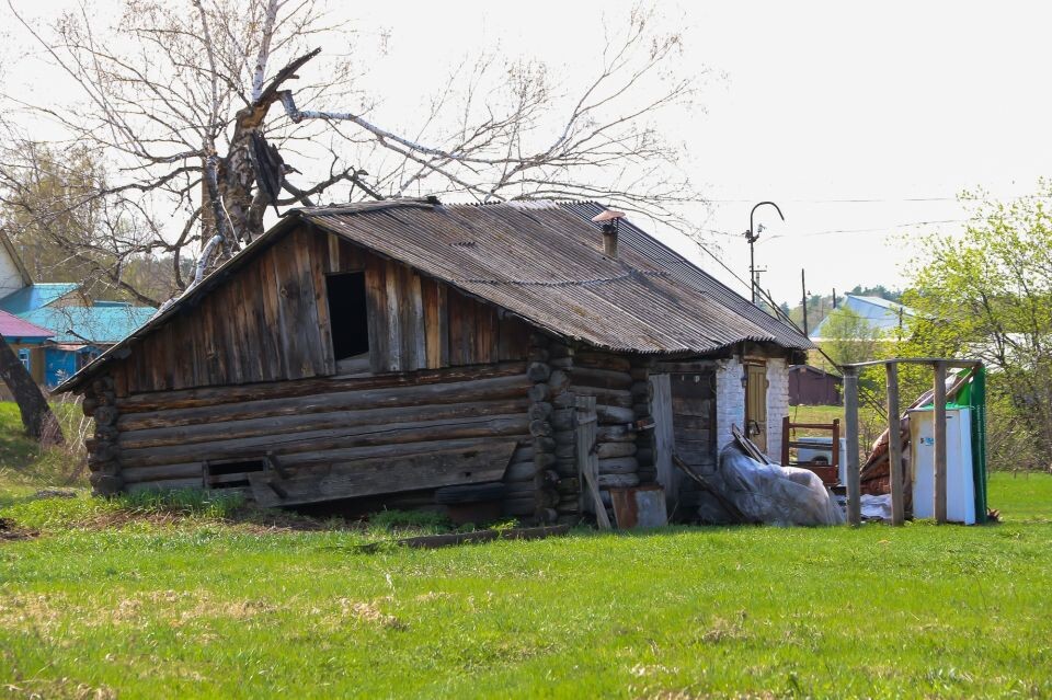    Мохнатушка . Источник: Виталий Барабаш