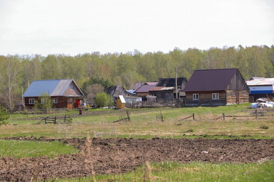    Мохнатушка . Источник: Виталий Барабаш