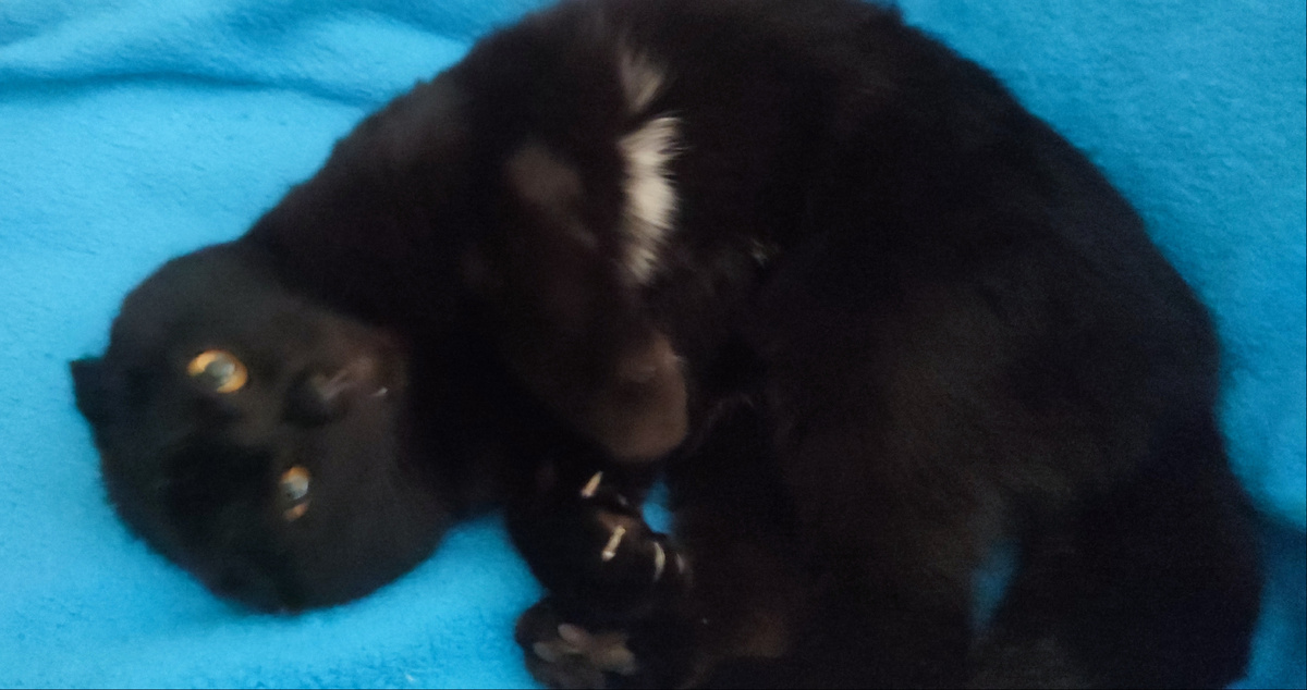 Я пожалуй тоже дома поваляюсь