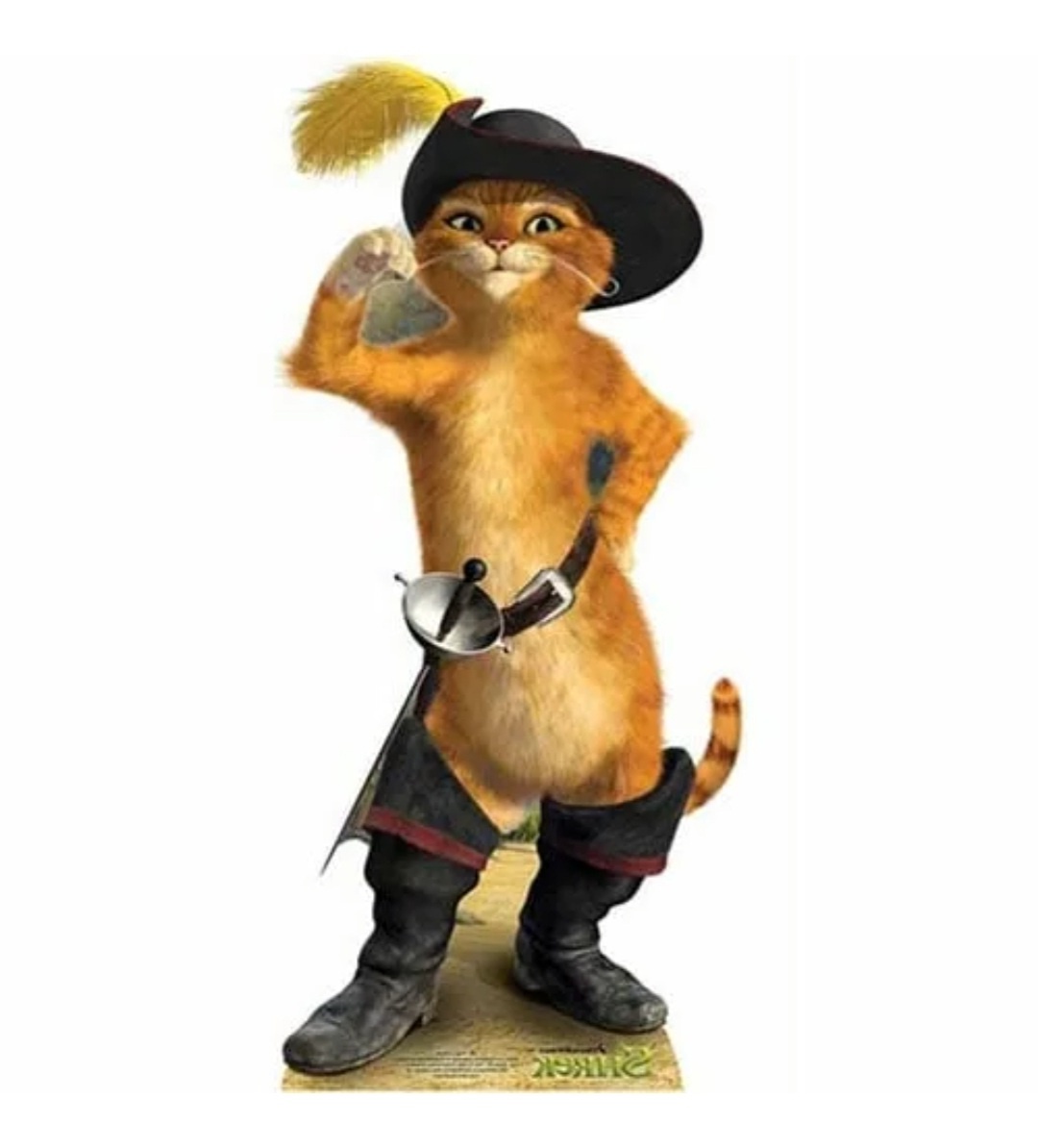 Фото из свободного источника интернета. Caramba!