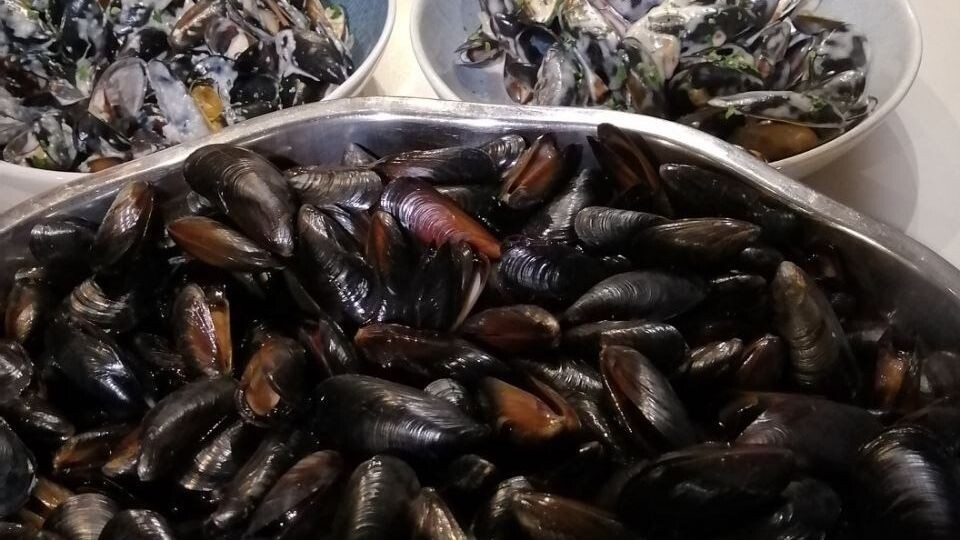     Источник: vostokmedia.com