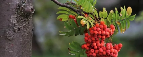 взято из яндекс картинки