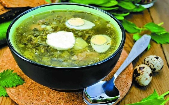 Рецепты приготовления вкусного, оригинального зелёного борща с крапивой
