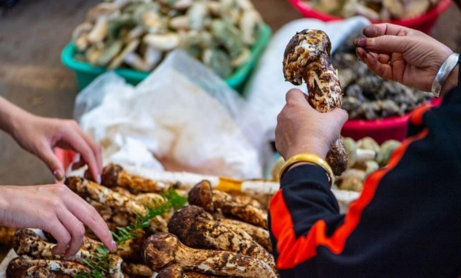    Jiang Wenyao/XinHua/Global Look Press