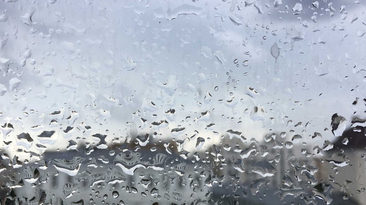     Источник: 1MI