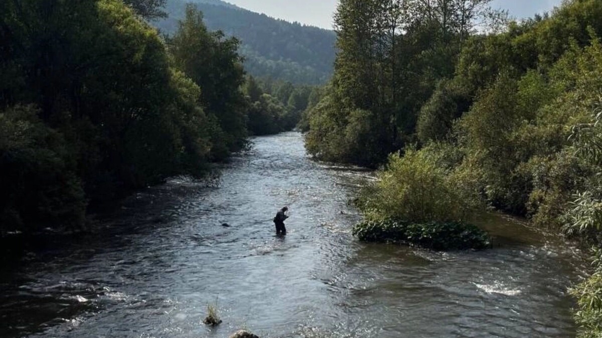     Источник: prmira.ru