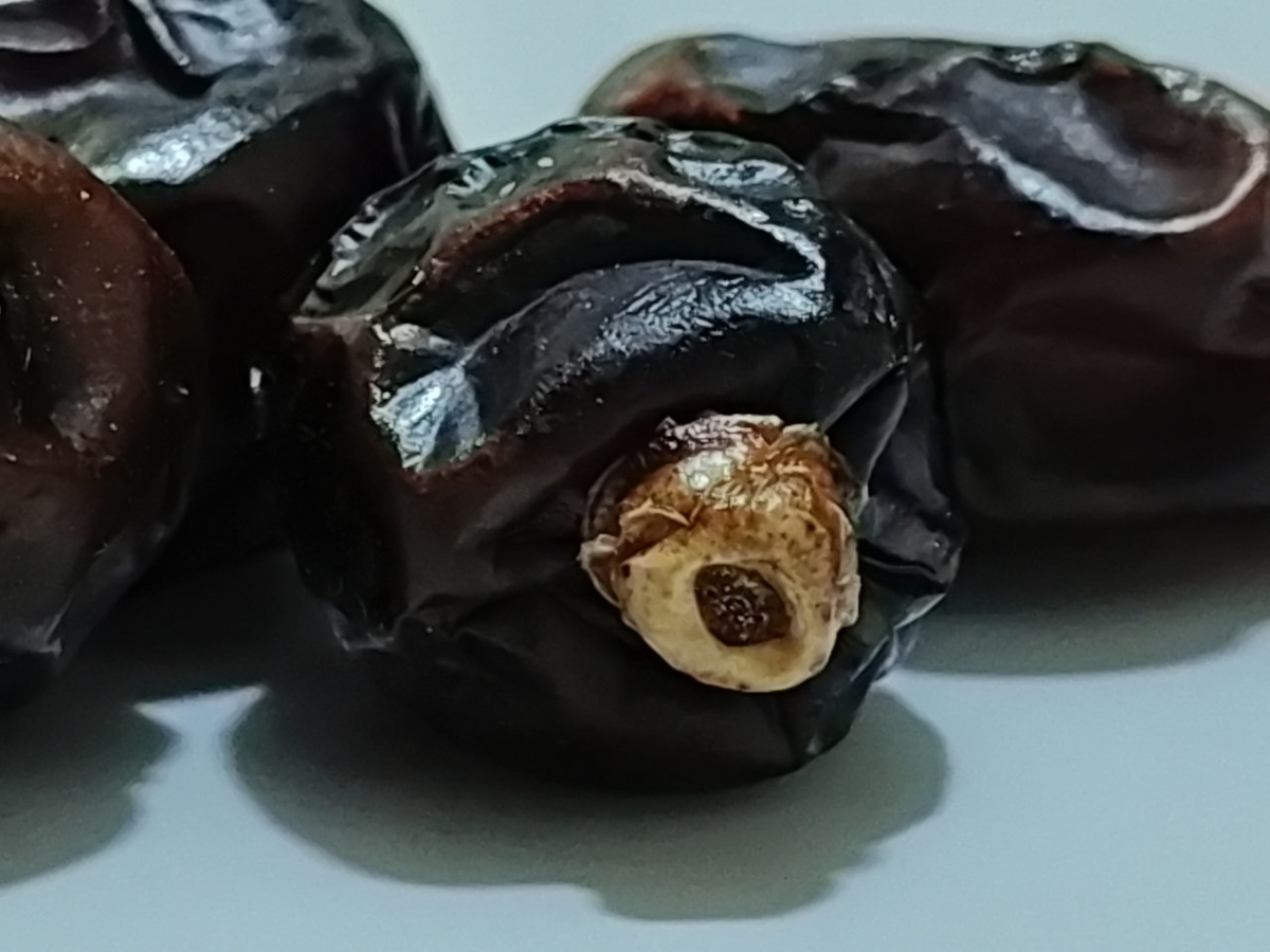 Финики Лулу (все фото статьи - авторские)