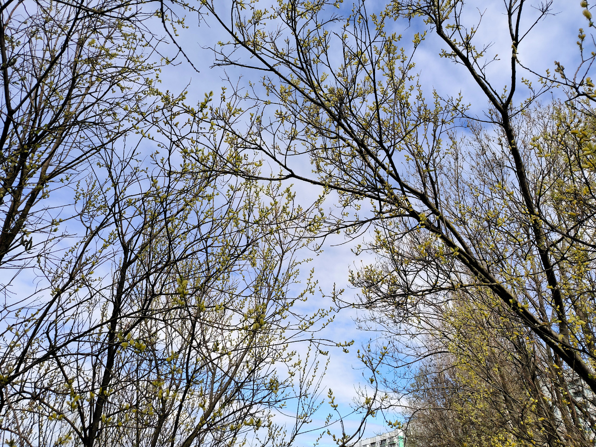 фото: Maksim Konstantinov/Global Look Press