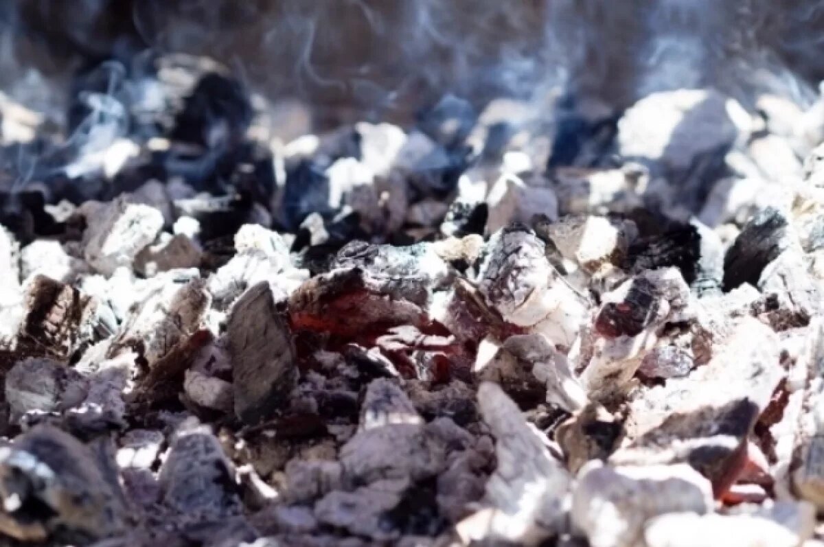    Два мусоровоза «САХ» загорелись в Новосибирской областии из-за тлеющей золы