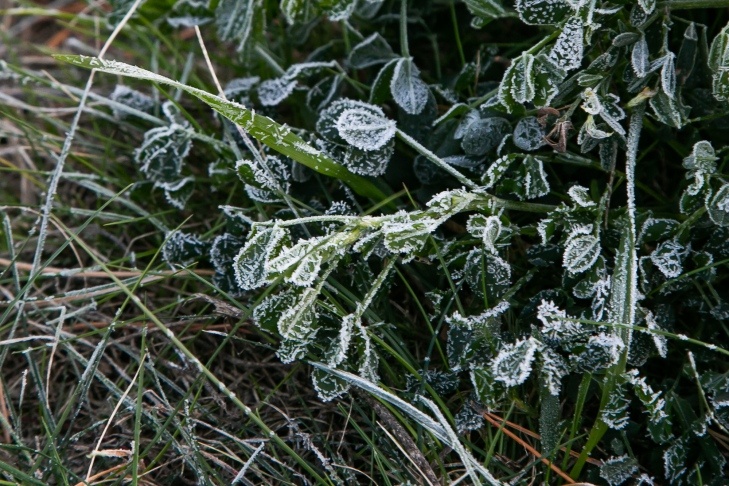    Фото из архива VN.ru