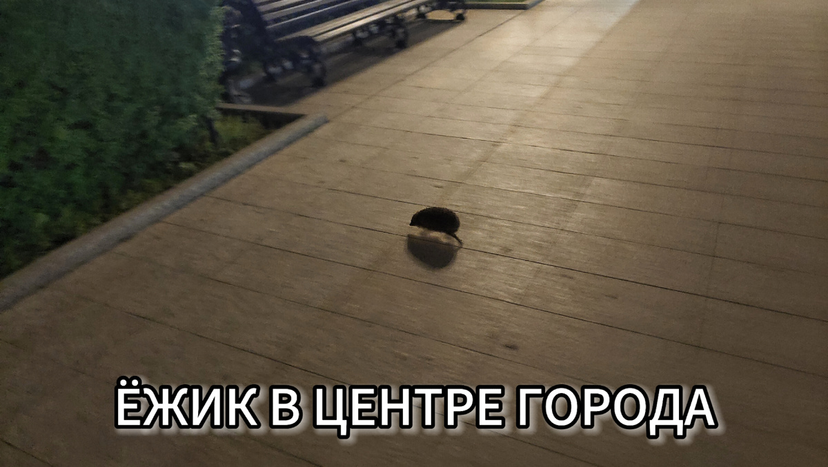 Пришёл пофоткаться 😁