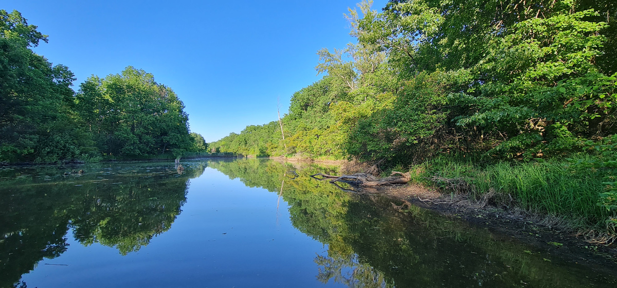 Протоки Волга