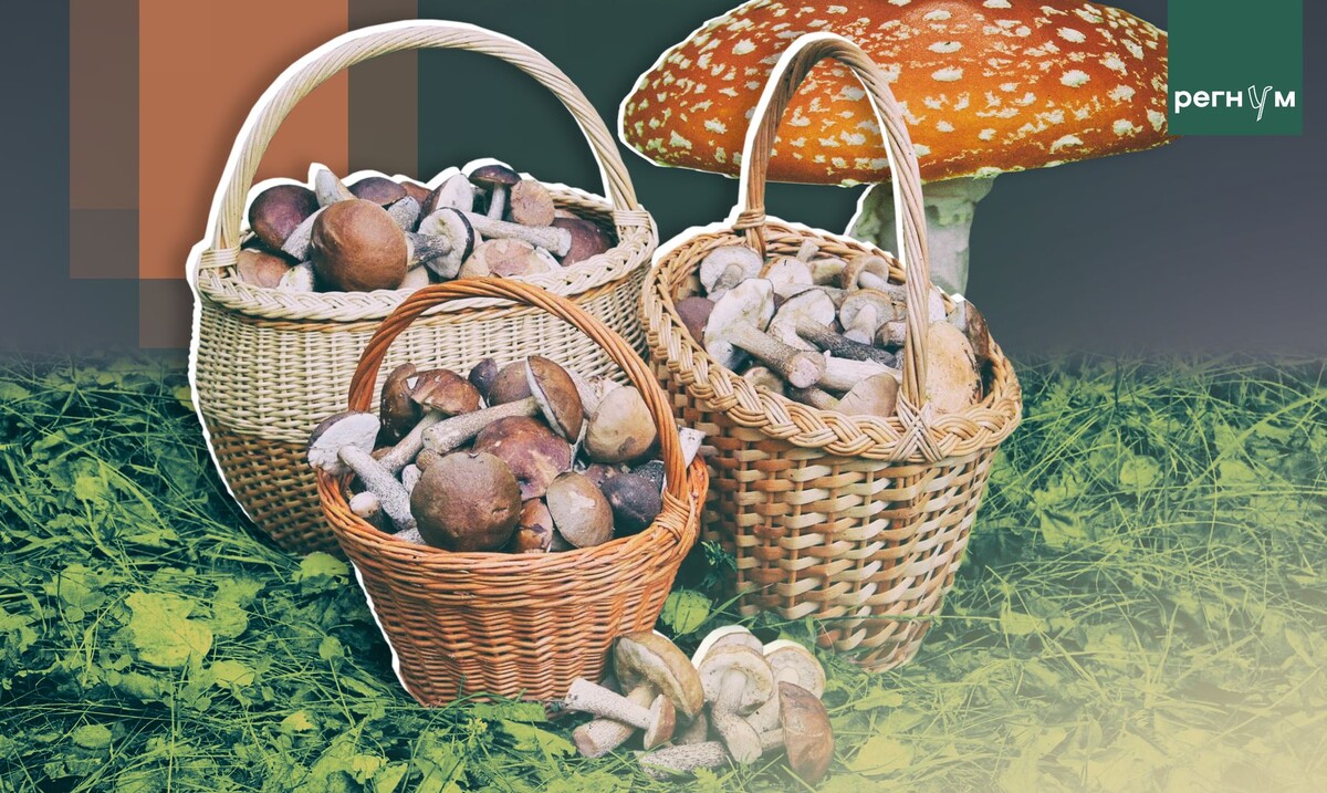     / Источник: © ИА Регнум