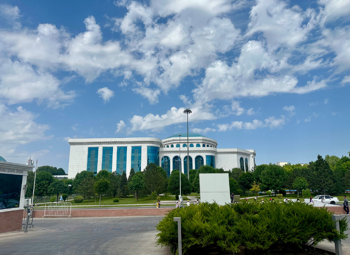 Здание библиотеки: посмотрите, сколько зелени вокруг! 