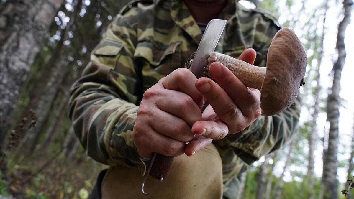    Фото: Александр Авилов / АГН Москва