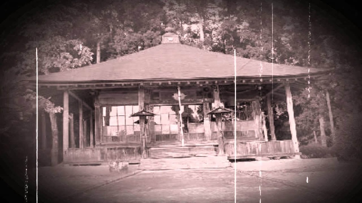 Фото особняка взятое в интернете.