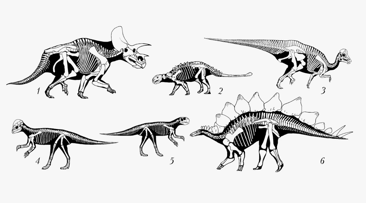 Птицетазовые динозавры