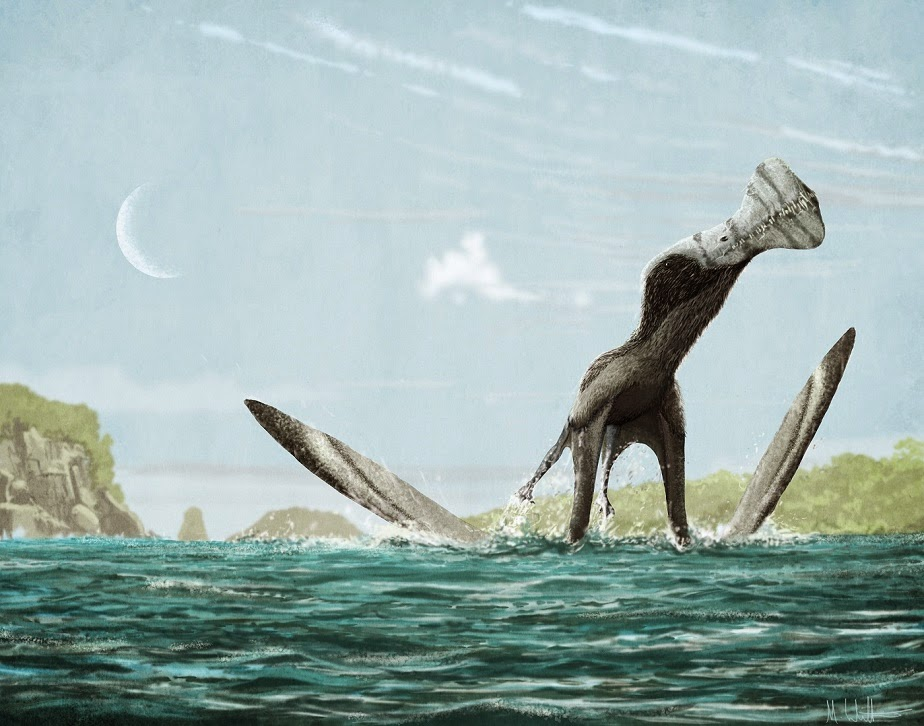 Орнитохейр, реконструкция Марка Уиттона