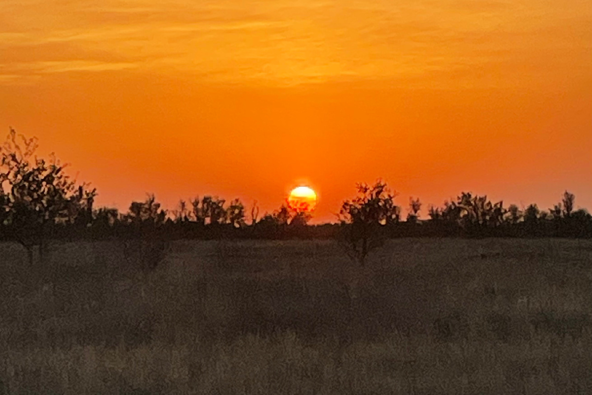 Калмыцкая степь. Невероятно, красивый закат. Фото из личного архива.