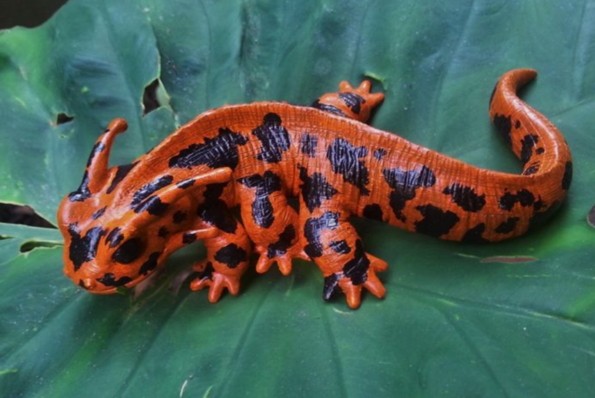 Огненная саламандра