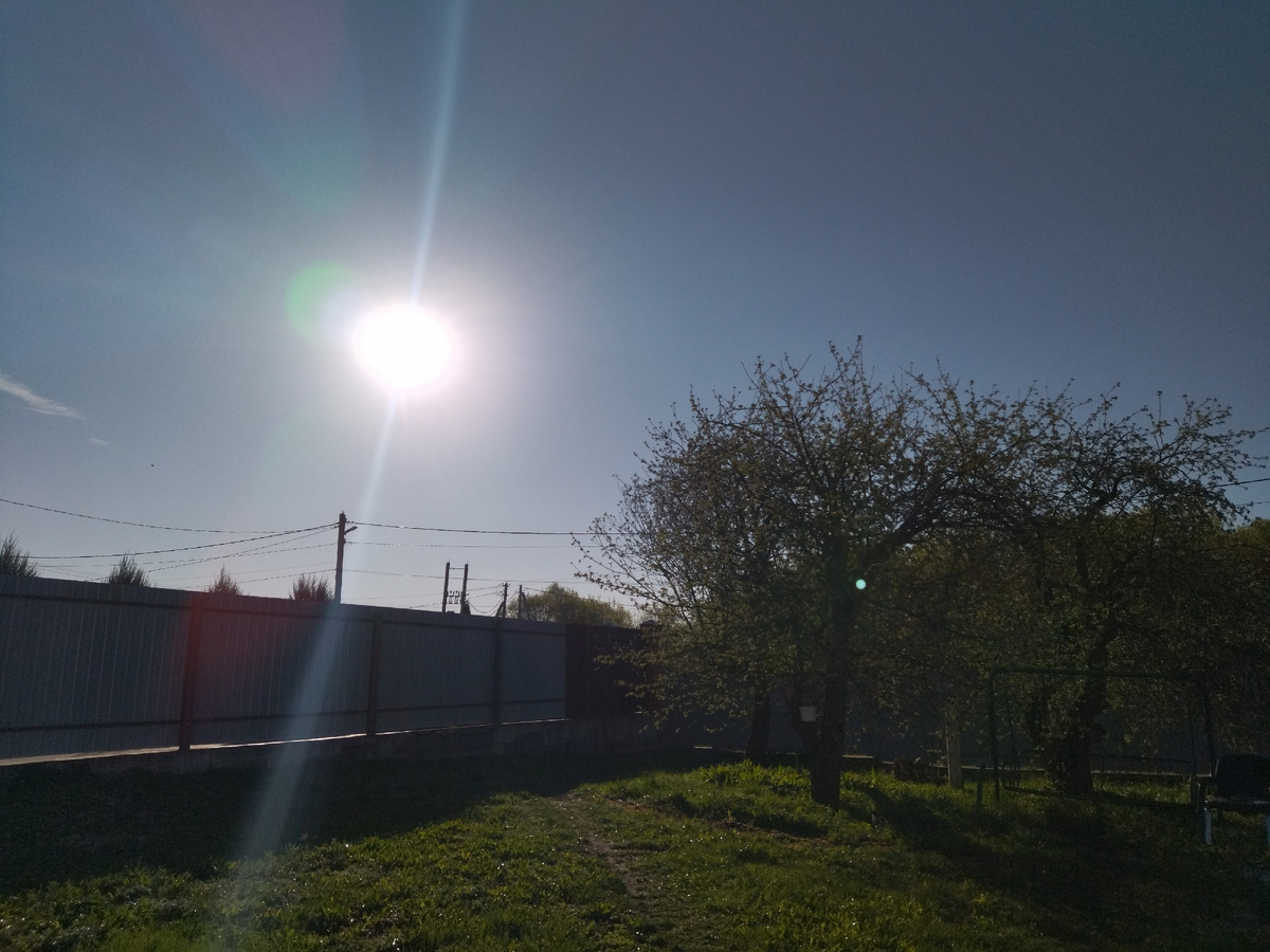 Фото получилось темноватое