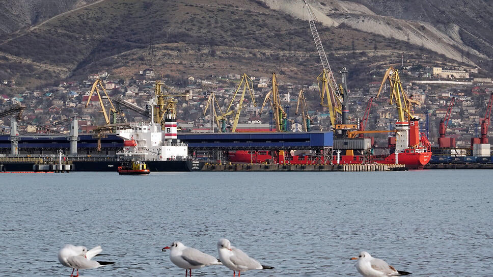 Фото: Алексей Зотов / Коммерсантъ