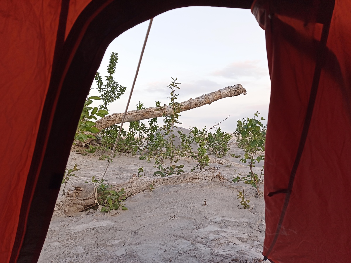 Вид из палатки, склон Шивелуча. Фотография автора.