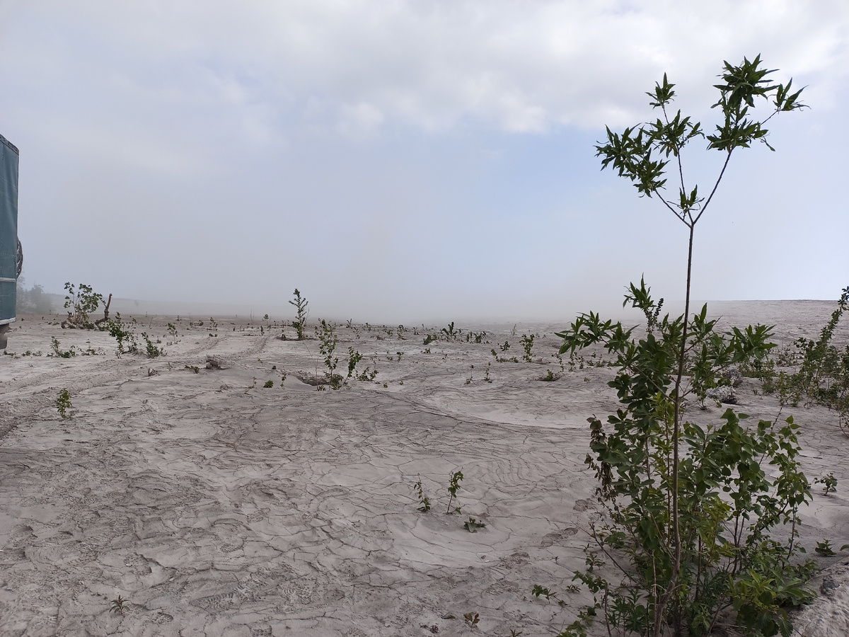 Вид на пирокластический поток 2005 года со стороны лагеря. Фотография автора.