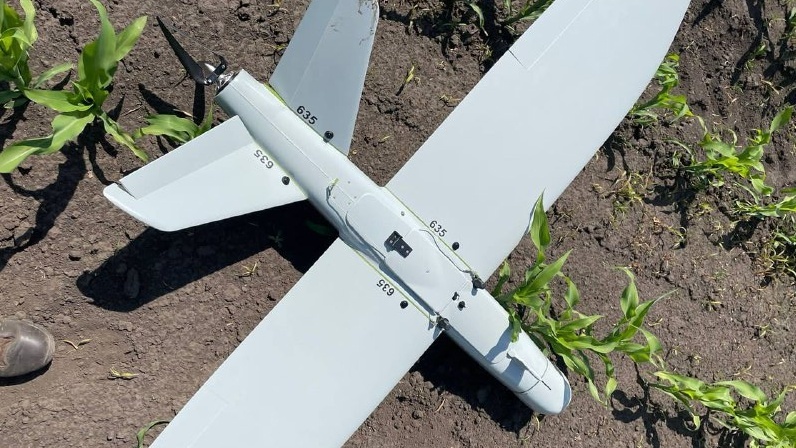    Фото для иллюстрации дзен.ру Придонье Газета