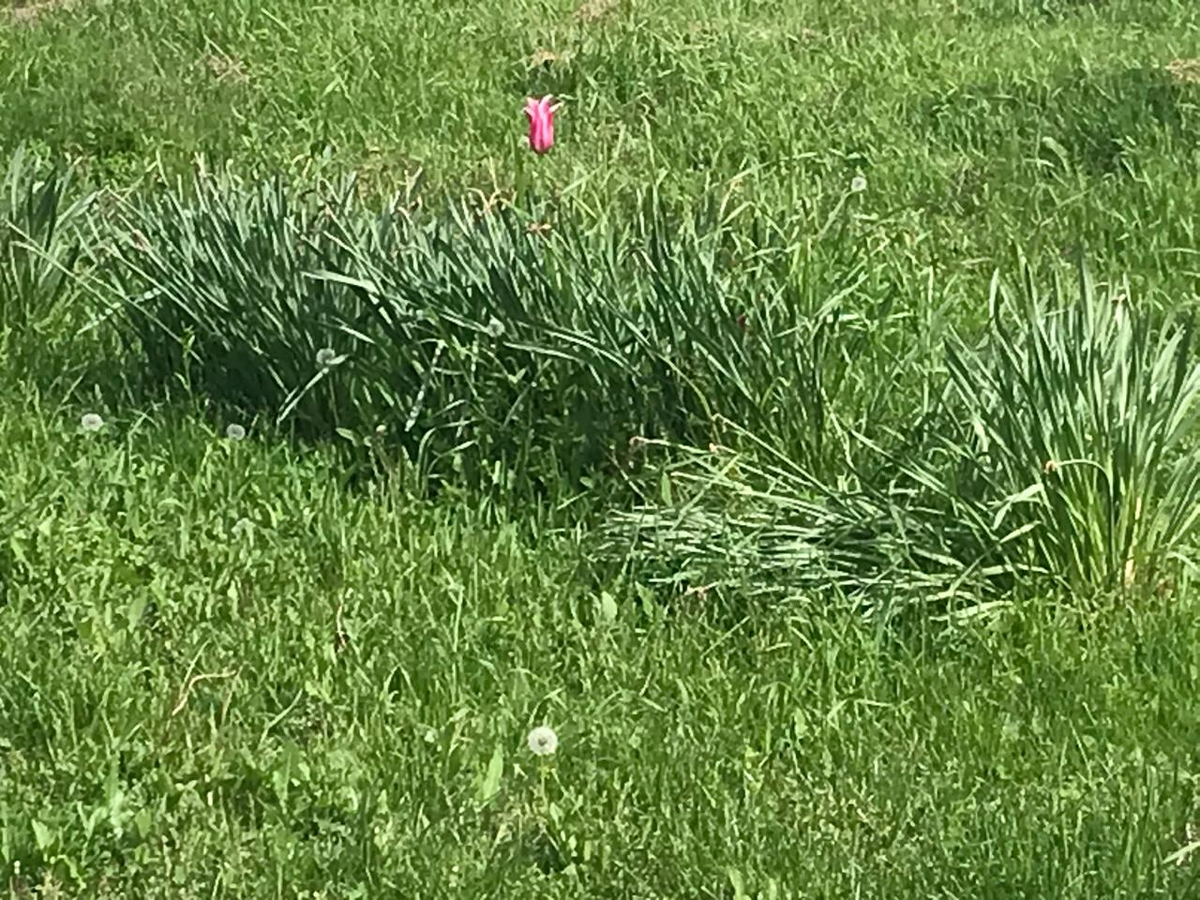 Выходные 03 - 04 мая 2025года. Прогноз для каждого знака Зодиака.