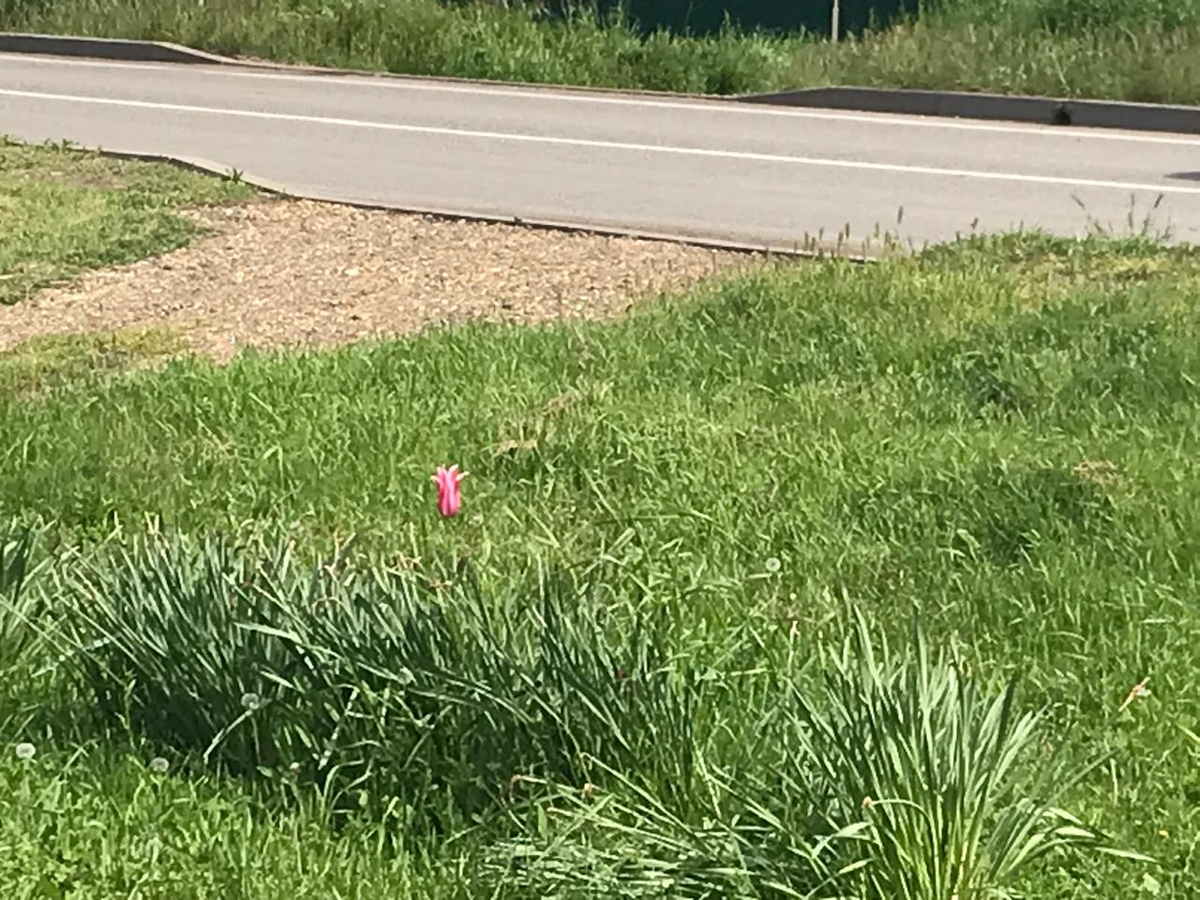 Выходные 03 - 04 мая 2025года. Прогноз для каждого знака Зодиака.