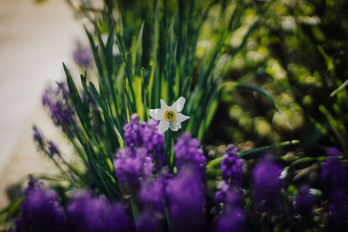 Фото: Виктория Епишева