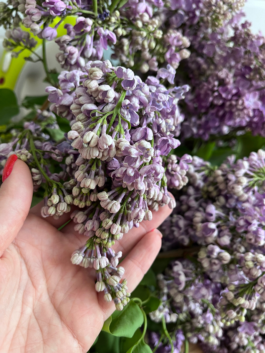 Когда букет подвял