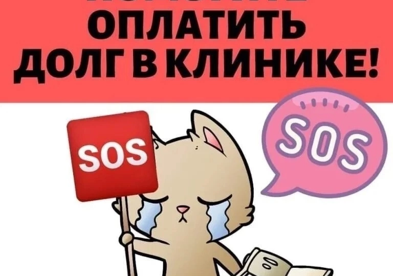 ПОМОГИТЕ ОПЛАТИТЬ ДОЛГ В КЛИНИКЕ❗️🙏🏼🙏🏼🙏🏼