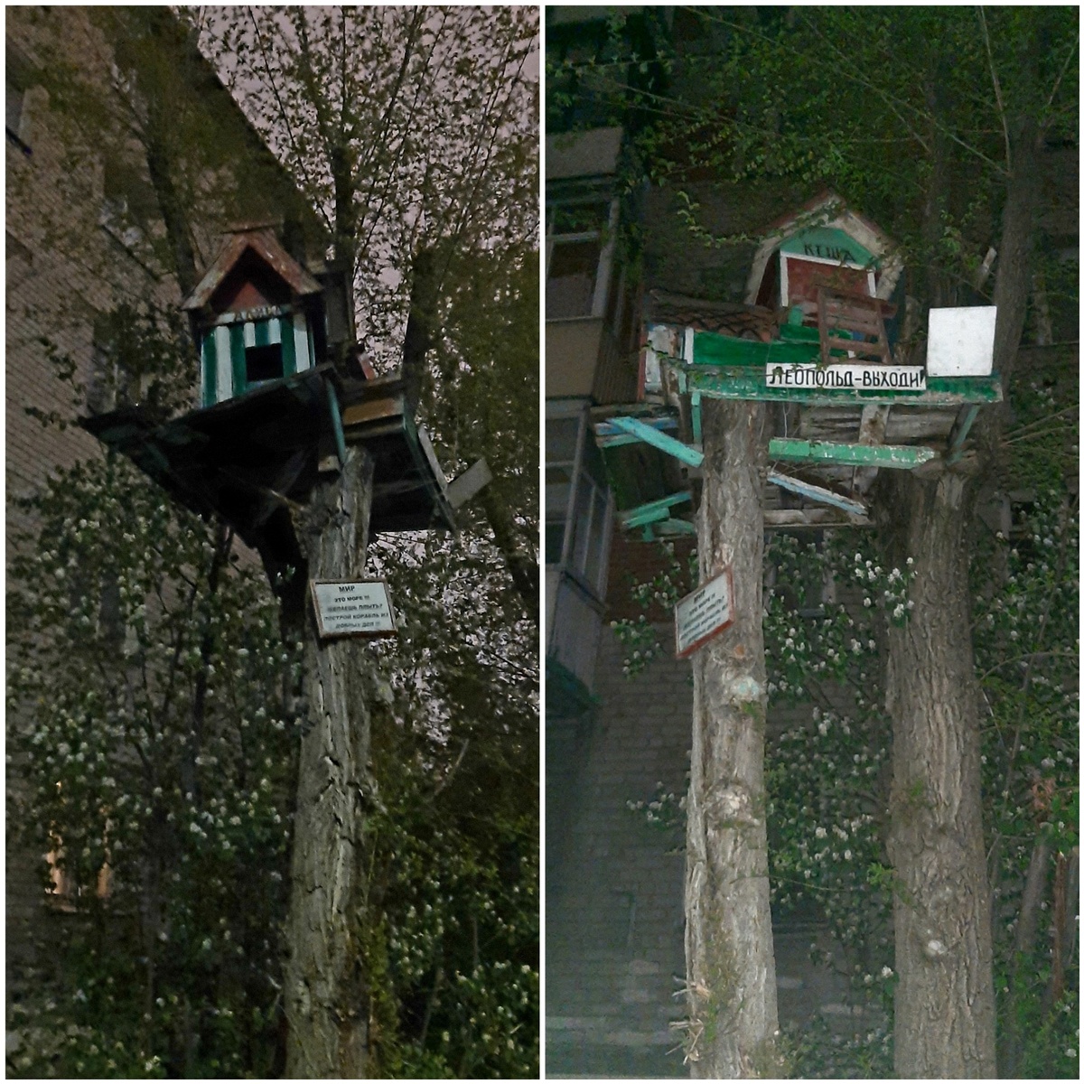 Вчера сфоткала котовий домик. Все фото на старый телефон