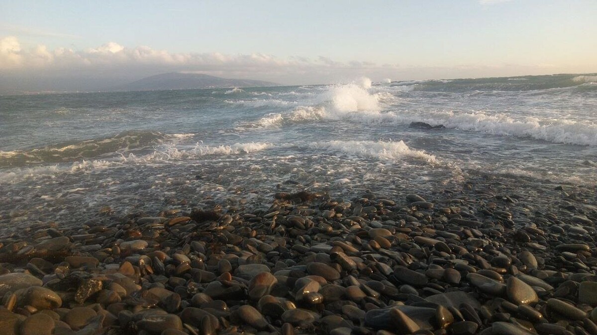    Фото: телеканал «Краснодар»