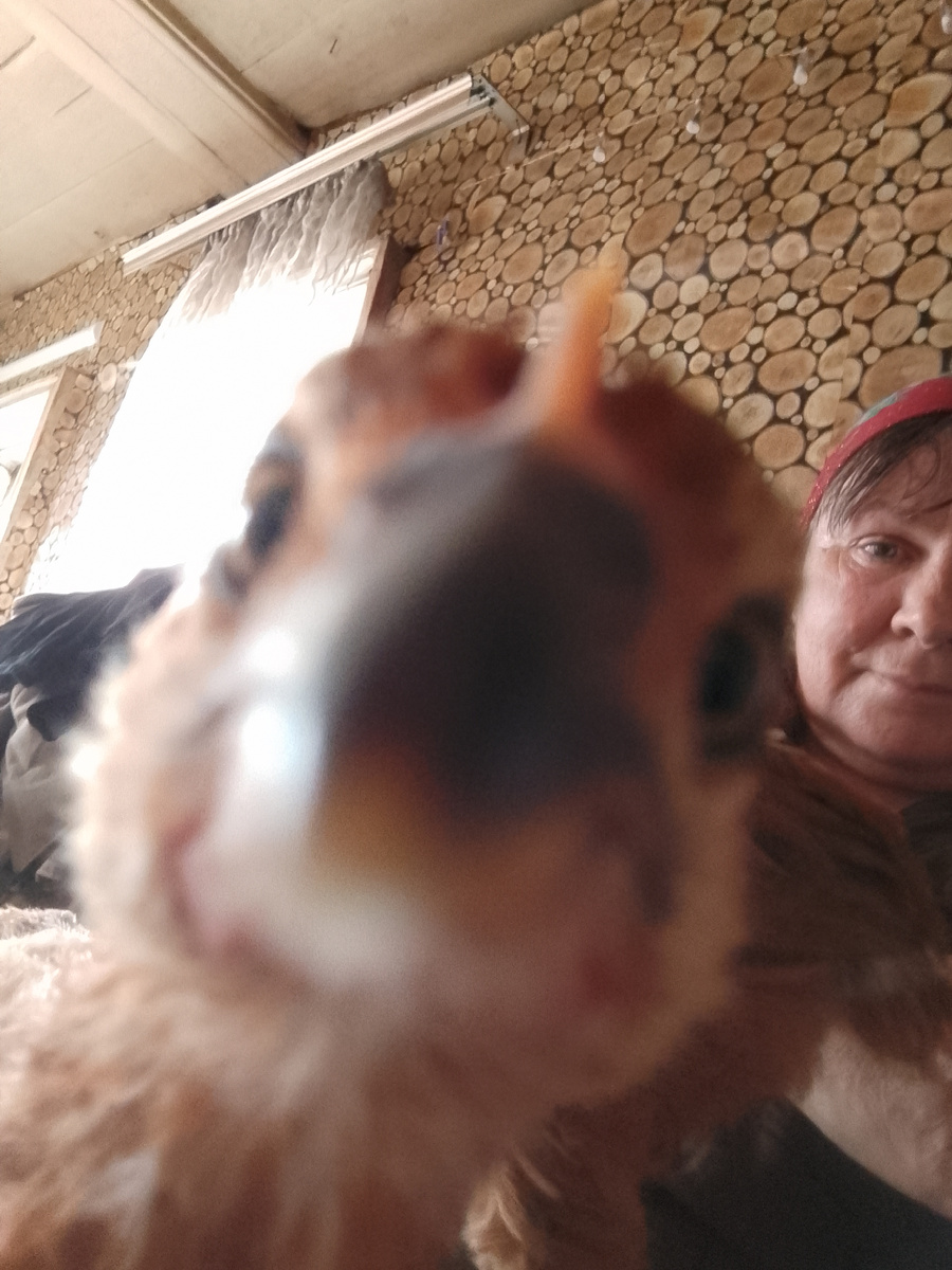 фото автора с домашним динозавриком)) 