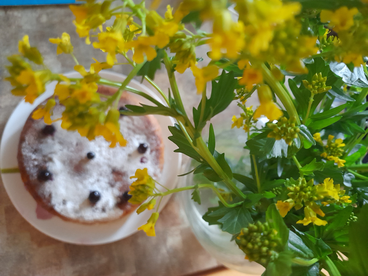 Вчера с утра пекла пирог и собрала букет сурепки.Вот такой натюморт получился!