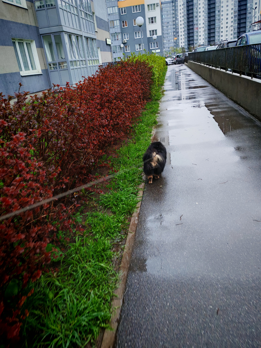 А нам всё равно 😄😄😄