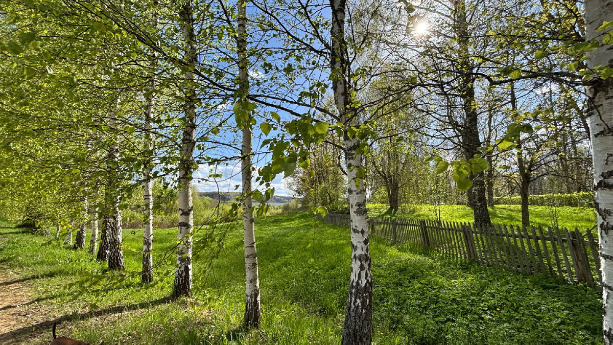 Пушкиногорье