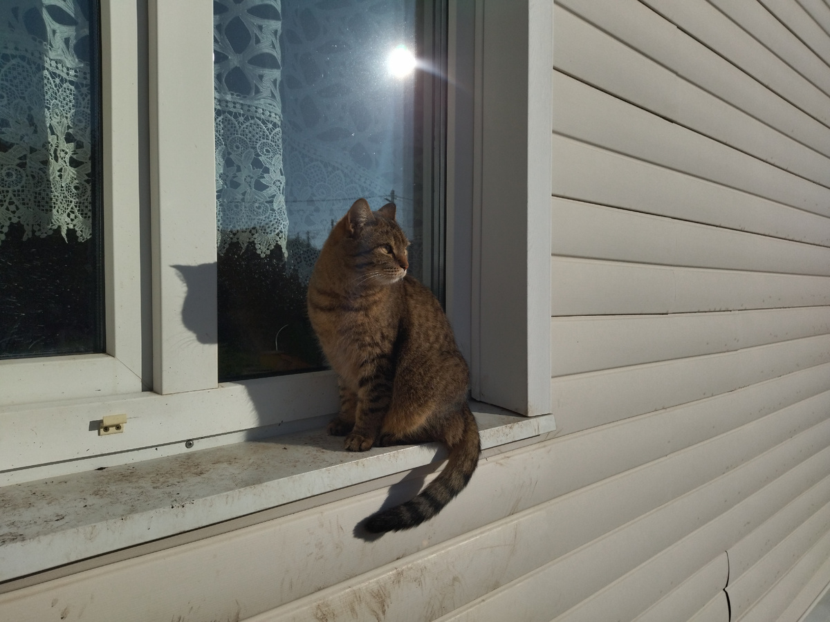 Загляделась на птичек