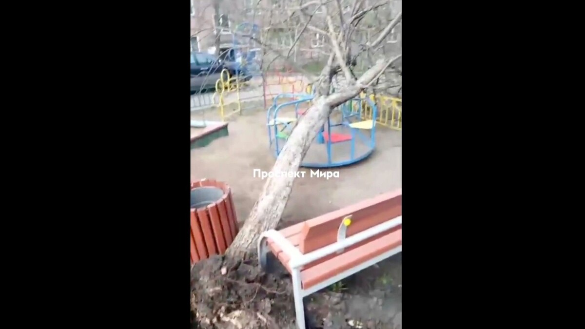     Источник: prmira.ru