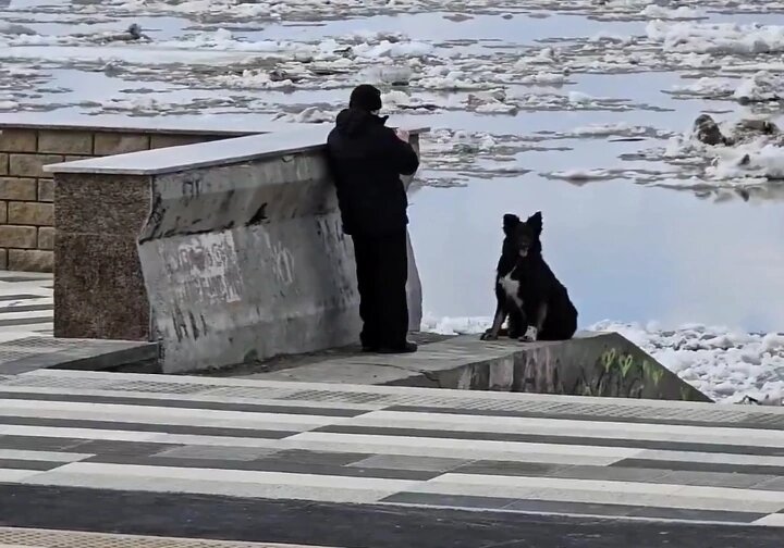    Вода в Оби поднялась еще на 19 сантиметров