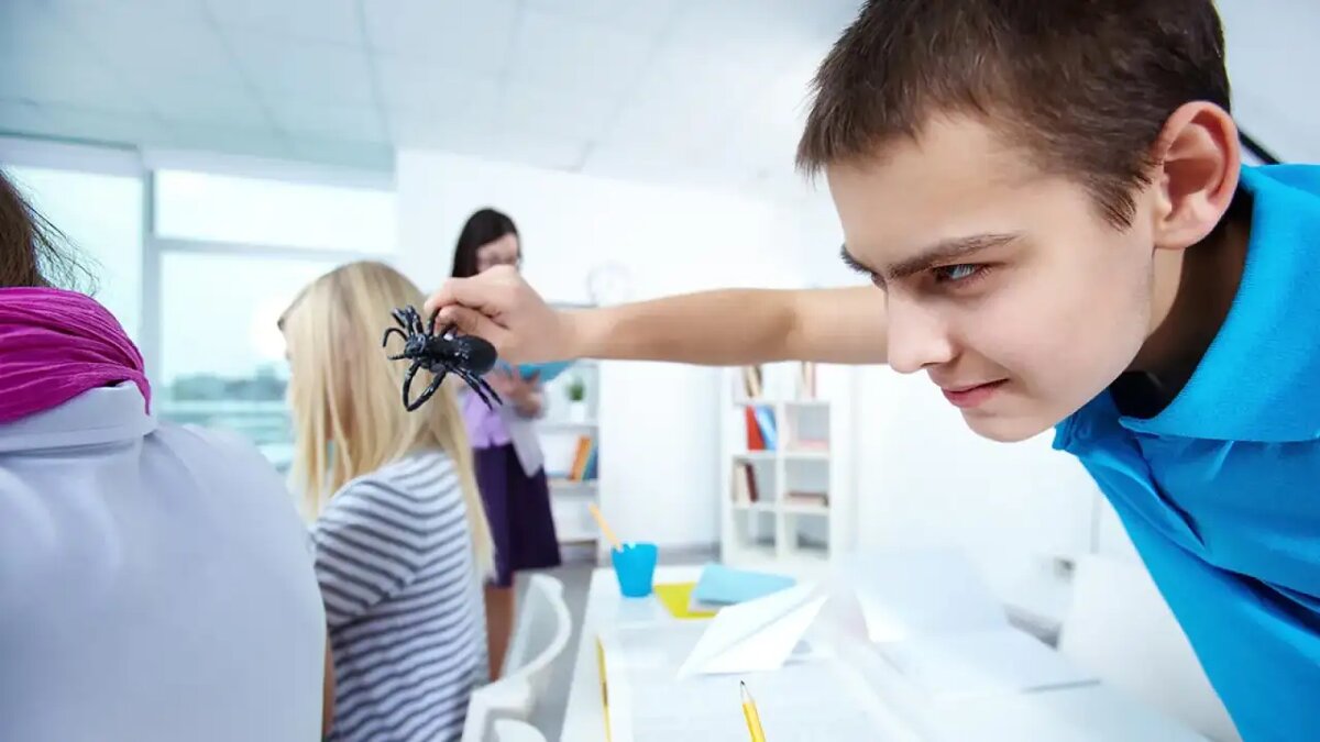    Поведение в школе.